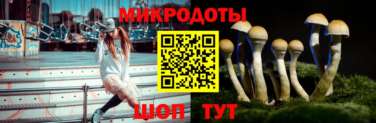 Галлюциногенные грибы мицелий  Вход с VPN  Лениногорск  Галлюциногенные грибы Psilocybine cubensis 